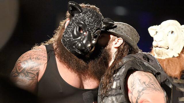 WWE Photo