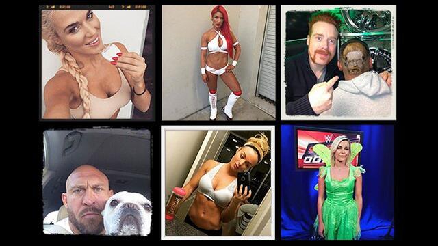 WWE Photo