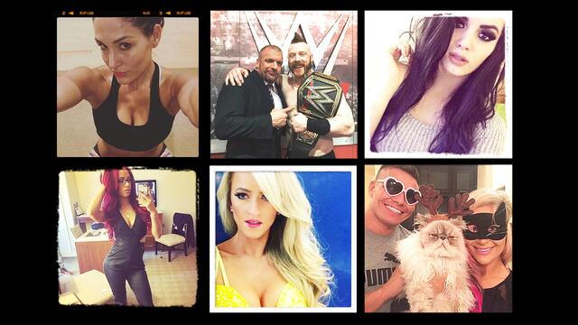 WWE Photo