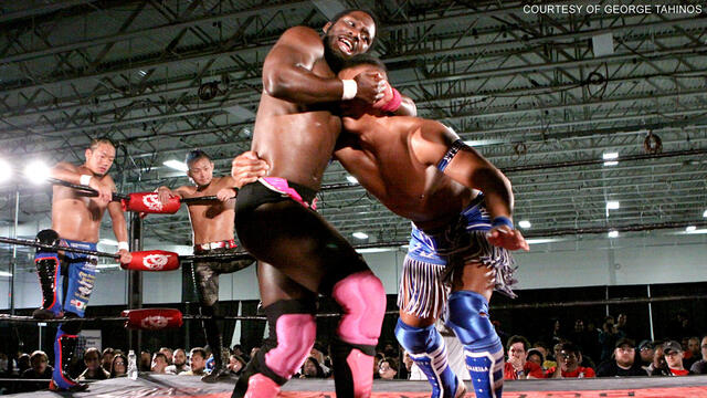 WWE Photo
