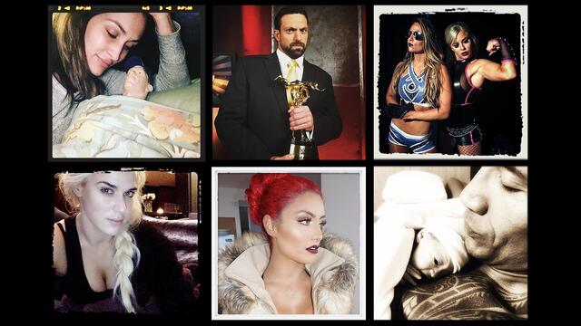WWE Photo