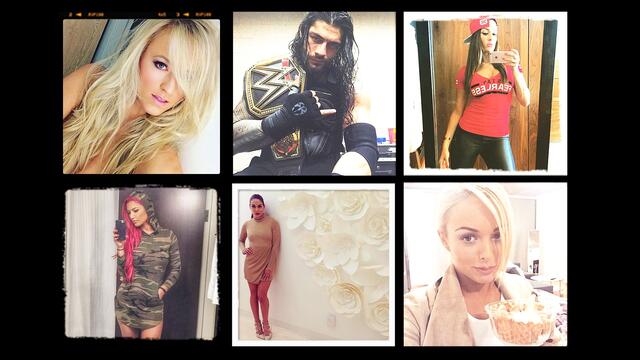 WWE Photo