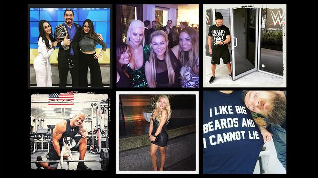 WWE Photo