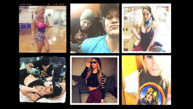 WWE Photo