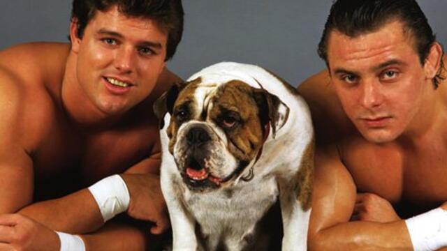WWE Photo