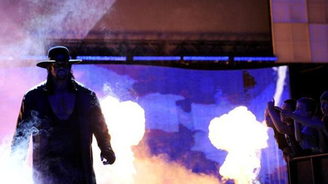 WWE Photo