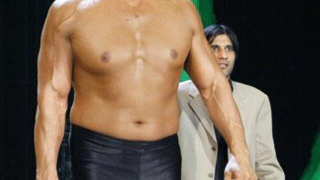 WWE Photo