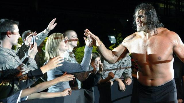 WWE Photo