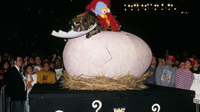 WWE Photo