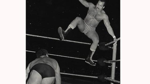 WWE Photo