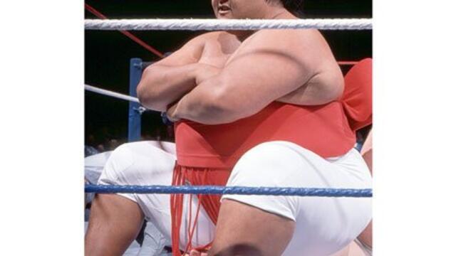 WWE Photo