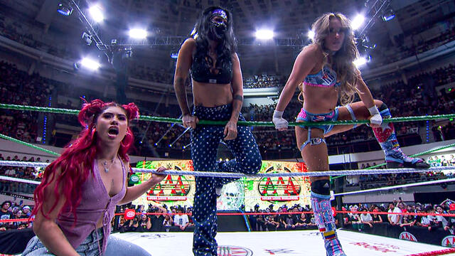 WWE Photo