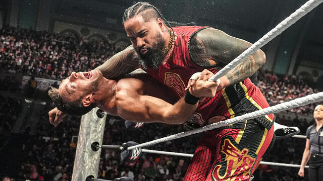 WWE Photo