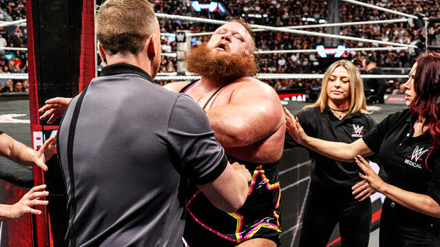 WWE Photo