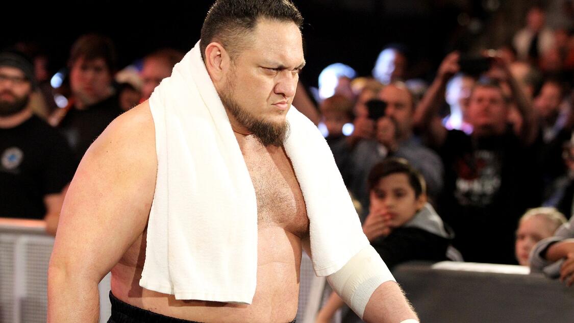 WWE Photo