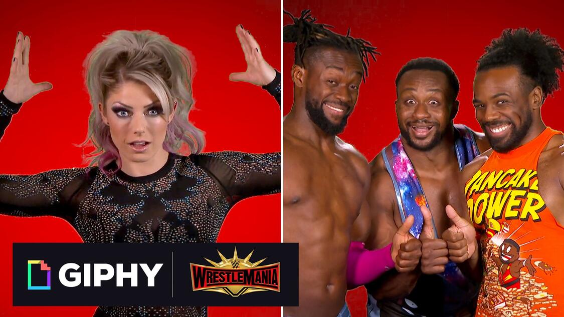 WWE Photo