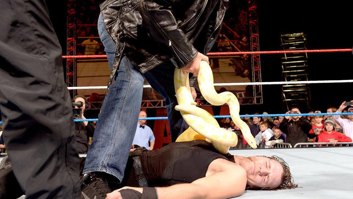 WWE Photo