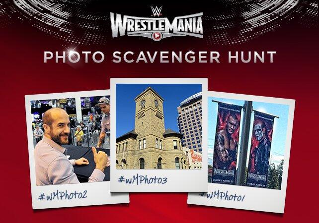 WWE Photo