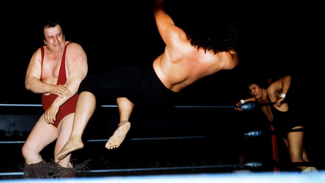 WWE Photo