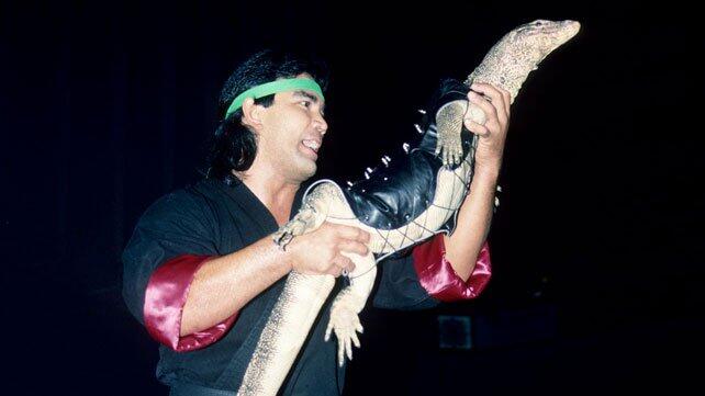 WWE Photo
