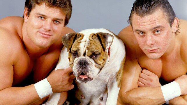 WWE Photo