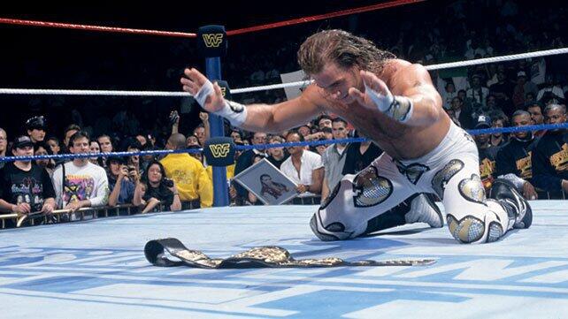 WWE Photo