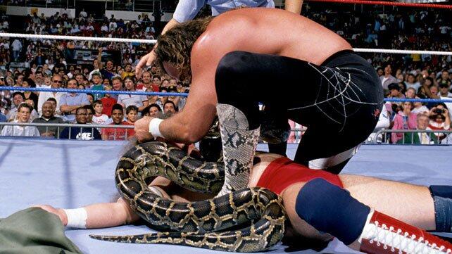 WWE Photo