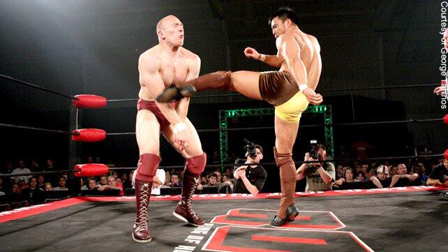 WWE Photo