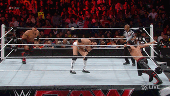 WWE Photo