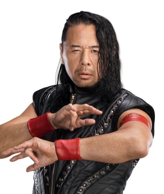 日本人WWE