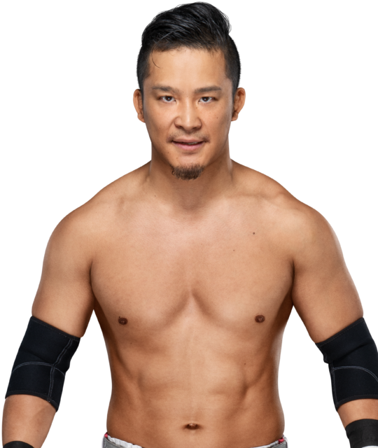 日本人WWE
