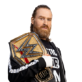Sami Zayn