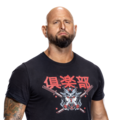 Karl Anderson