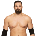 Damien Sandow