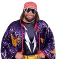 Randy Savage