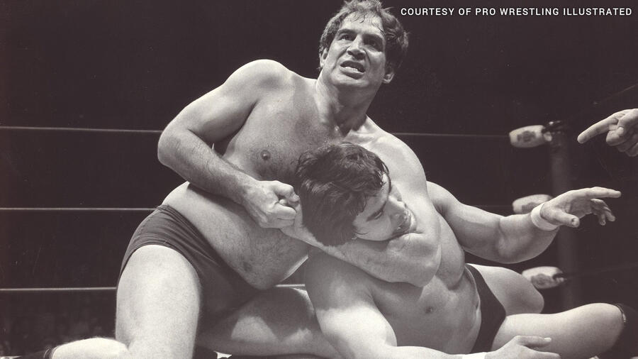 Wrestling's greatest brothers: photos