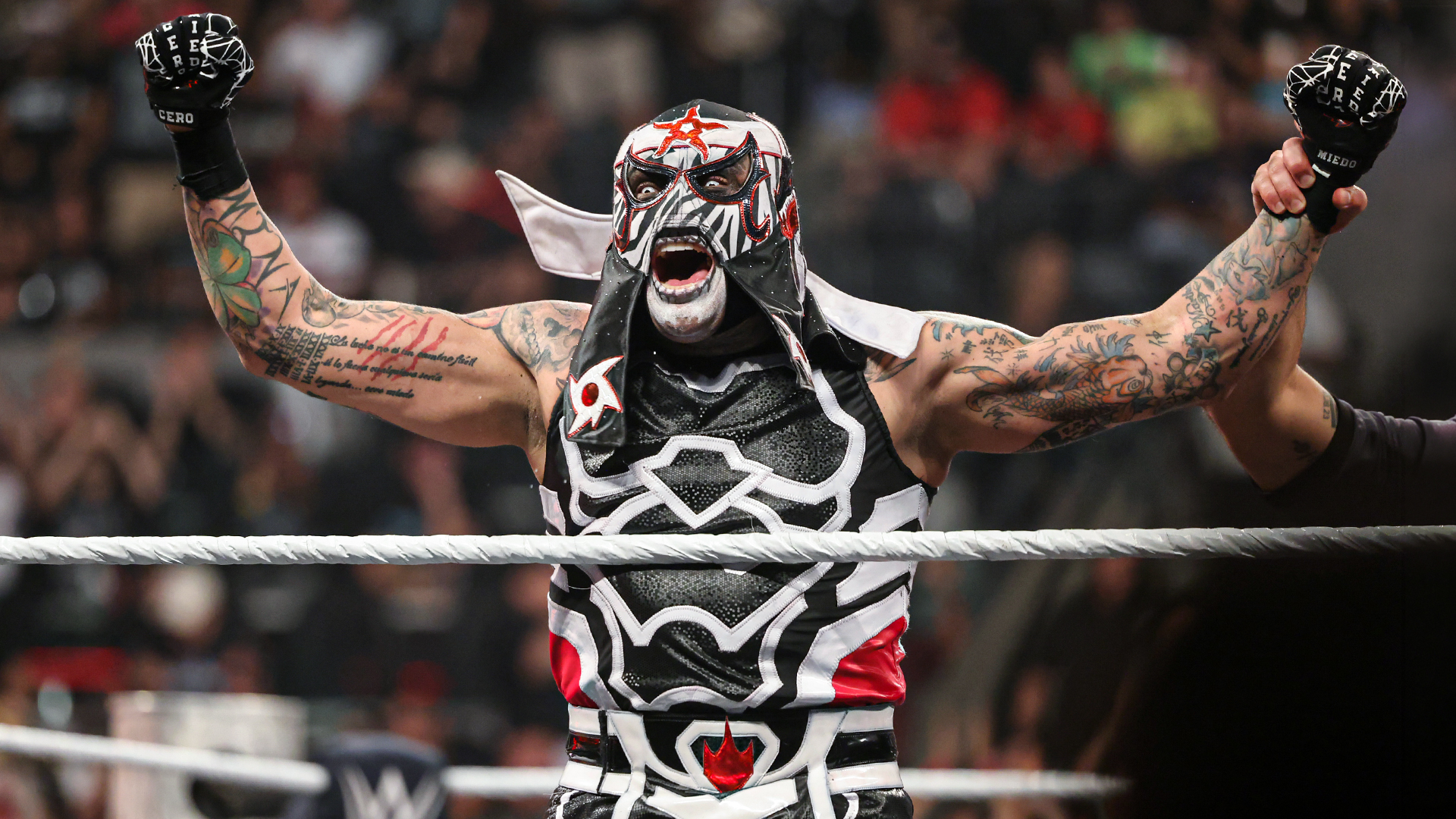 WWE News, Results, Photos & Video - Official Site | WWE