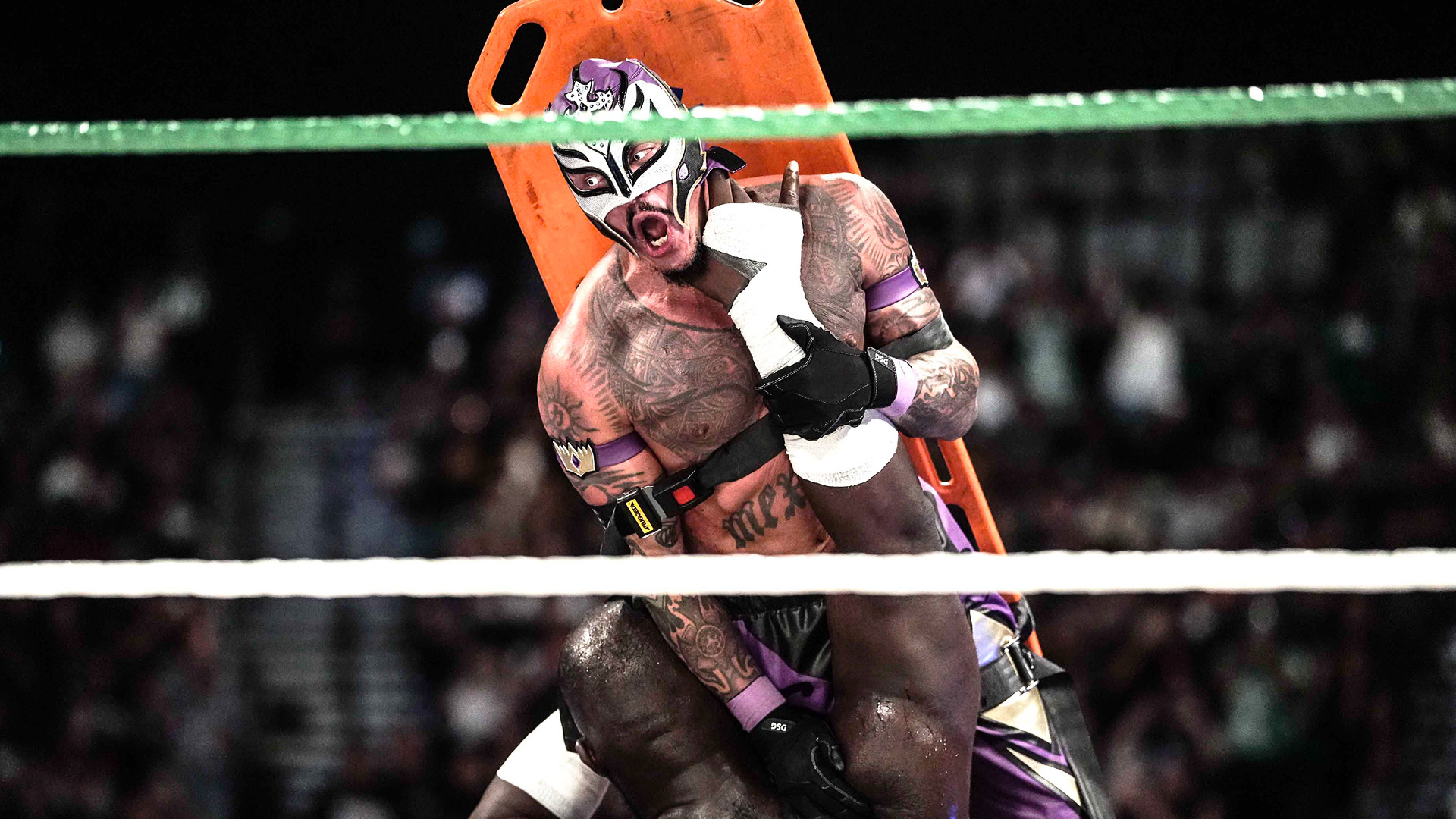 WWE Photo