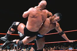 "Stone Cold" - The Rock